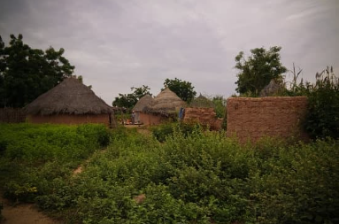 The Book of Languages - Hausa